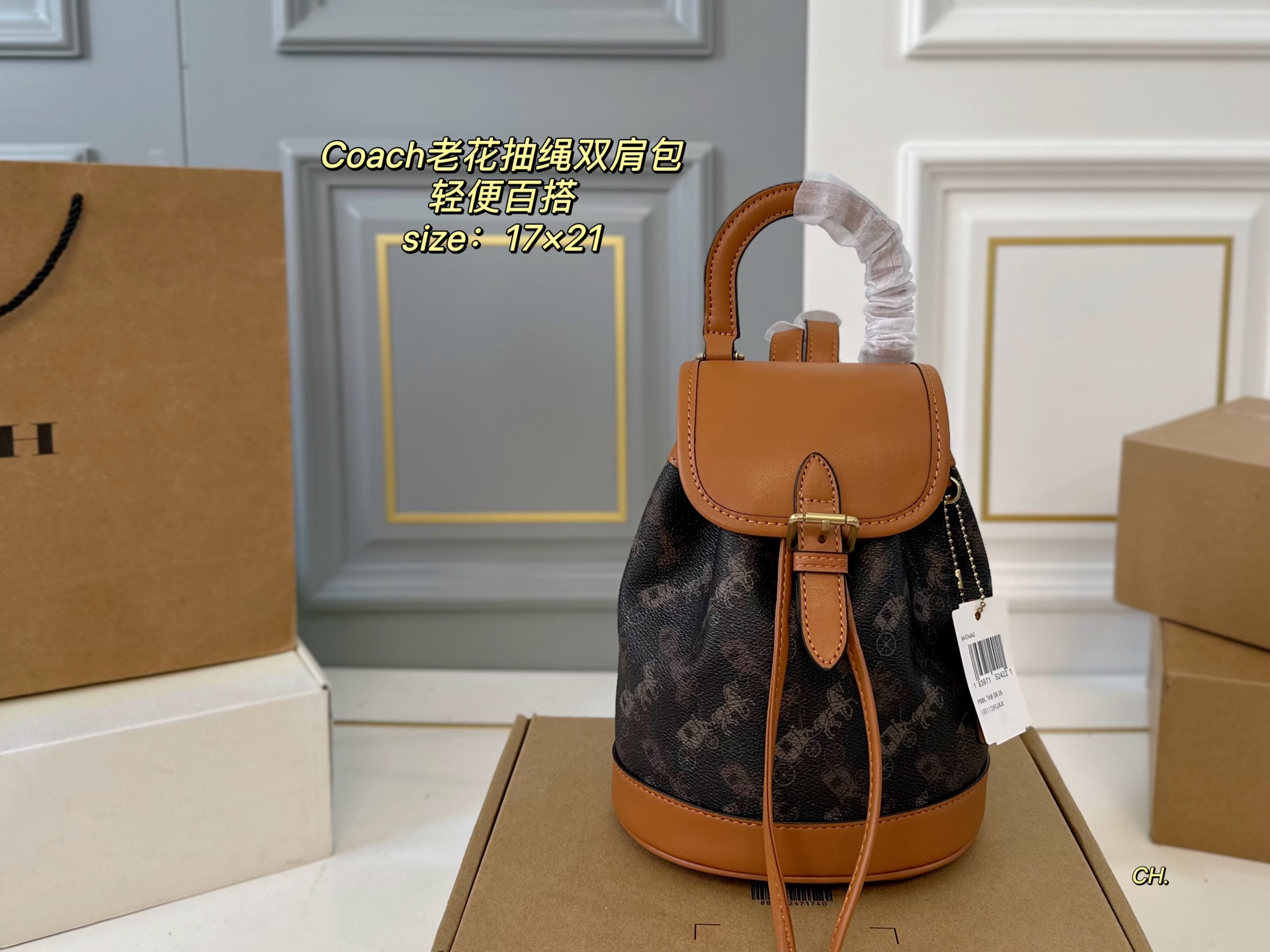 coach bag 214